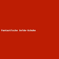 Fantastische Seide-Schuhe