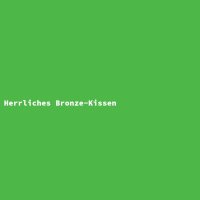 Herrliches Bronze-Kissen