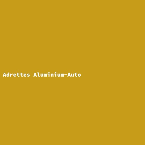 Adrettes Aluminium-Auto